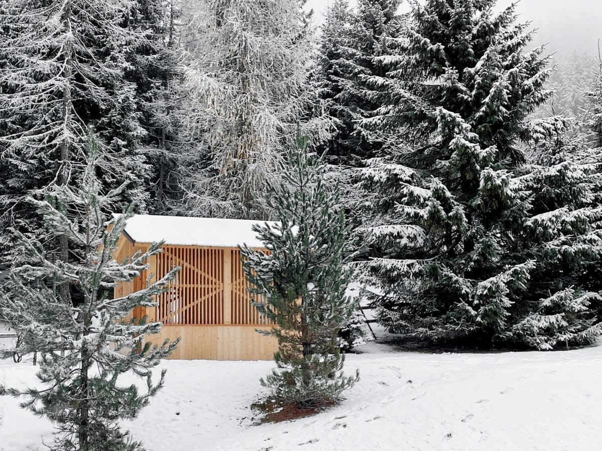 Sweat Home_Sauna_Trentino_Mimeus Architettura_01